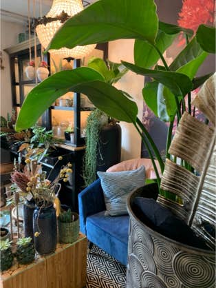 Blumen Dekoration und Floristik