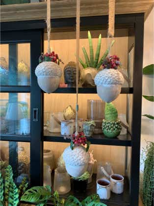 Blumen Dekoration und Floristik