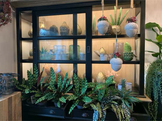 Blumen Dekoration und Floristik