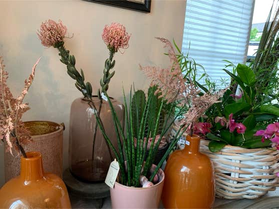 Blumen Dekoration und Floristik