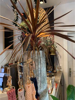 Blumen Dekoration und Floristik