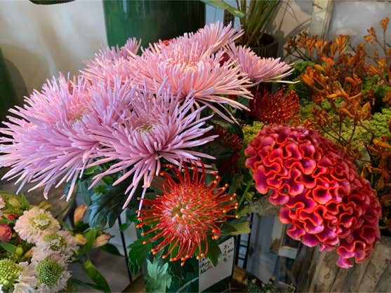 Blumen Dekoration und Floristik