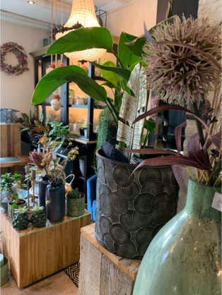 Blumen Dekoration und Floristik